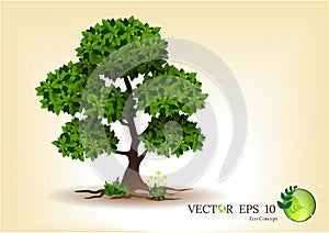 Illustration Realistic Tree Isolated on White Background - Vector