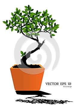 Illustration Realistic Tree Isolated on White Background - Vector