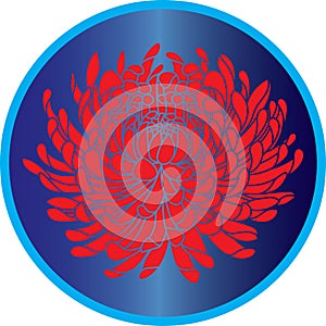 Illustration of Red Chrysanthemum flower on blue circle background