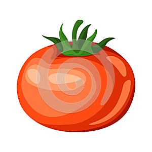 Illustration of red ripe tomato.