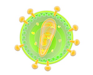 Illustration of a retrovirus photo