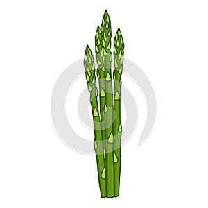 Illustration of a ripe bunch of asparagus in cartoon style.