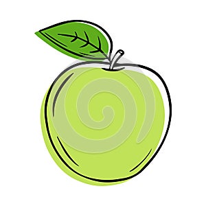 Illustration of a ripe green apple in a contour style.