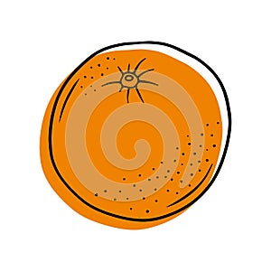 Illustration of a ripe orange in a contour style.