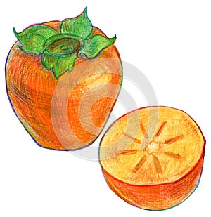 Illustration of ripe persimmon fruit