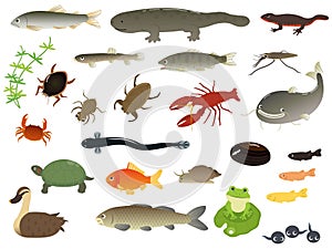 River animals photo