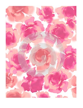 Illustration of rose,