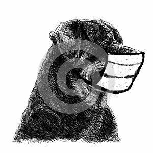Illustration of Rottweiler dog with mask