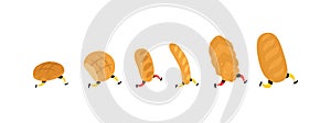 Illustration of running bread. Vector. Rolls, loaf and baguette. Icons for the site on a white background. Signs, logo for the sto