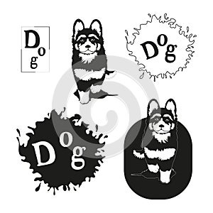 An illustration of a running puppy from nature, a set of black and white spots with splashes for design and letters, an isolated