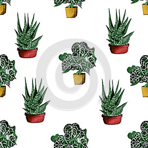 Illustration ÃÂrystal anthurium haworthia limoliferous pattern. photo