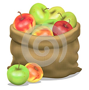 Illustration of a sack of apples on a white background. Vector