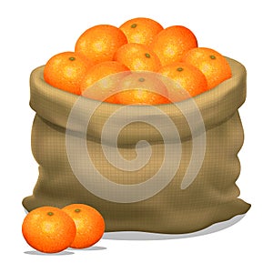 Illustration of a sack of mandarins on a white background. photo