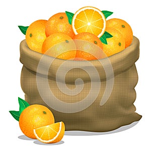 Illustration of a sack of oranges on a white background. Vector