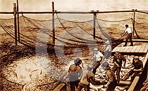 Illustration of salmon fishermen at work