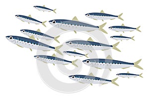 Illustration of a school of sardines