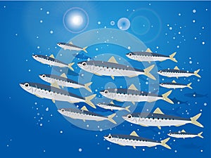 Illustration of a school of sardines