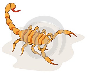 Illustration of scorpion arachnid insect. Ideal for etymology and educational photo