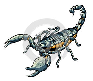 Illustration of scorpion arachnid insect. vector graphics