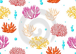 Illustration of sea coral. Marine life aquarium and water fauna.