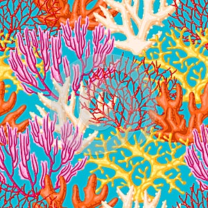 Illustration of sea coral. Marine life aquarium and water fauna.