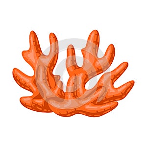 Illustration of sea coral. Marine life aquarium and water fauna.