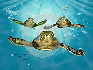 Illustration of sea turtle migration