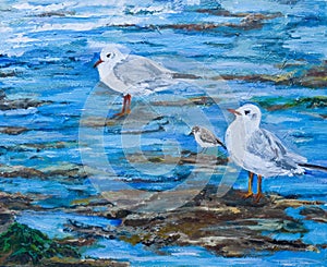 Illustration of Seagulls and Sanpiper on a beach