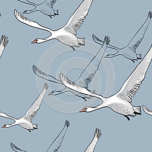 Illustration of Seamless pattern of drawing Flying flock Swans. Hand drawn, doodle graphic design with birds. Wrapping