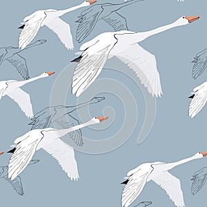 Illustration of Seamless pattern of drawing Flying Swans. Hand drawn, doodle graphic design with birds. Wrapping paper