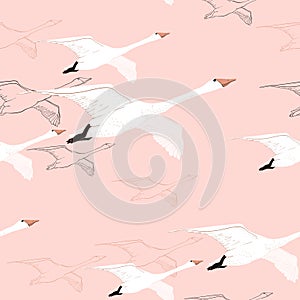 Illustration of Seamless pattern of drawing Flying Swans. Hand drawn, doodle graphic design with birds. Wrapping paper