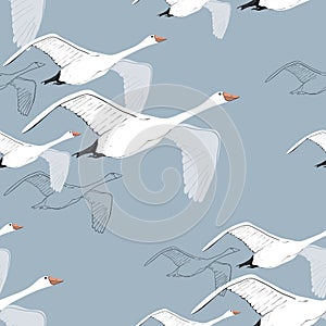 Illustration of Seamless pattern of drawing Flying Swans. Hand drawn, doodle graphic design with birds. Wrapping paper