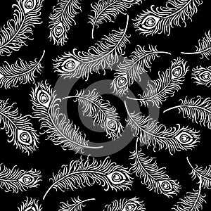 illustration, seamless pattern, drawn white peacock feathers on a black background