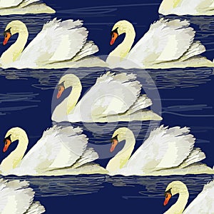 illustration of seamless pttern with swan on blue background