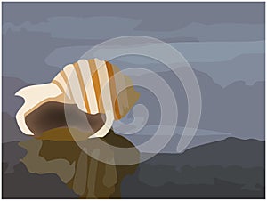 Illustration of a seashell on an abstract gray background