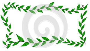 Illustration of a series of green leaves, hand drawn leaf border decoration