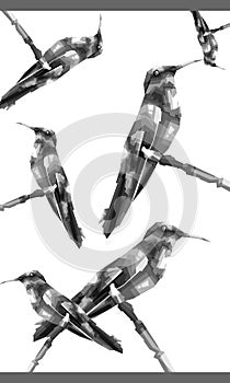 Illustration of a set of birds, in a frame, Design wpap