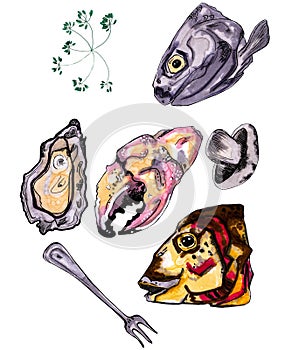 Illustration of a set of fish heads, crab claws, oysters,mushrooms, dill on a white background
