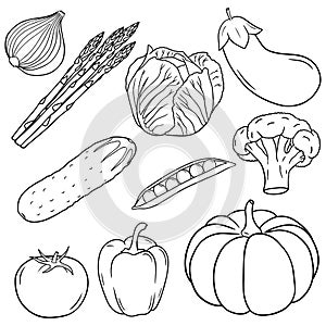 Illustration of a set of vegetables in a hand-drawn style.