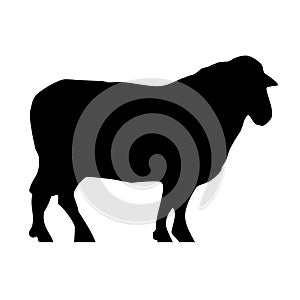 Illustration of a sheep silhouette isolated on a white background