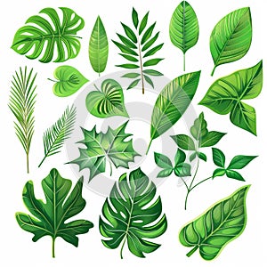 An illustration showcasing nine different types of green leaves, each with unique shapes and vein patterns, set against