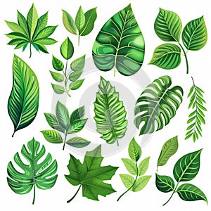 An illustration showcasing nine different types of green leaves, each with unique shapes and vein patterns, set against