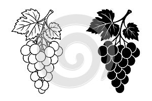 Grape Illustration, Outline and Silhouette Versions