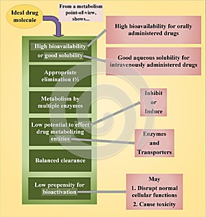 Characteristics of an ideal drug molecule from a metabolism point-of-view photo