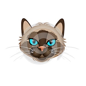 Illustration of siamese kitten face