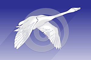 Illustration of silhouette swan vector icon. flying swan with shadow sign on blue background. swan icon for web and app.