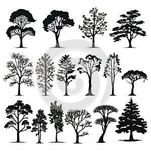 Illustration of silhouette trees set on a white background