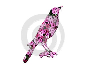 Illustration of a singing bird in a floral pattern on a white background