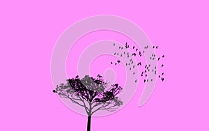 Illustration of a single isolated tree and flying birds flock against clear sky in pink. Migrating birds concept.