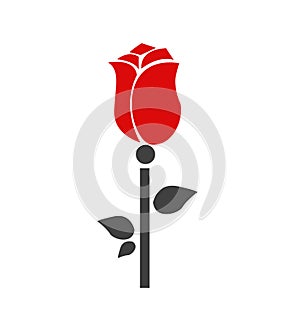 illustration of single red rose